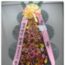 법무법인한울