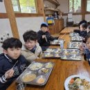 야호게임장 | 우리들 자연학교 11월 1주 차 일요일 주말 숲학교 하늘샘반 수업 후기