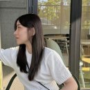 미헤어갤러리 이미지
