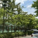 [경기도 용인] 마인드루틴아로마 홈공방 감정오일 아로마테라피 원데이클래스 후기