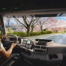 르만트럭코리아 이미지