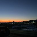 소노펠리체 델피노 이미지