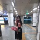 현대여행 이미지