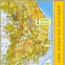 [성 베드로와 성 바오로] 베드로는 주추 놓고 바오로는 기둥 세우고 이미지