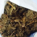 오포농장