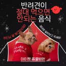 아이펫동물병원 이미지