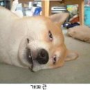 연제구-169 이미지