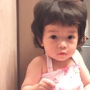 다연 Daum카페