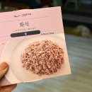 스쿱543