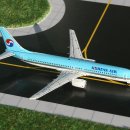 B737-900 대한항공이 출시예정 이군요. 이미지