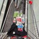 전주도란도란캠핑장 이미지