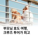 효도투어