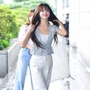 히든포레스트 이미지