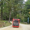 가평연리지 | 남이섬당일치기여행코스/남이섬내 맛집[고목]까지 알차게 즐긴 하루