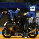 월드유도체육관