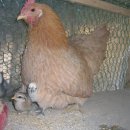 천지농장 이미지