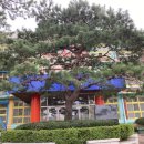 남초등학교후문 이미지