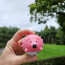 마스타골프장 | 서울 근교 명문골프장 골드cc [마스터Out ➝ In코스] 라운딩 후기