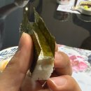 키세츠 | 서면 스시 오마카세 맛집 '키세츠 현' 디너 후기