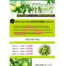 파격특가/하동청매실(10kg)/농가직송/무료배송 이미지