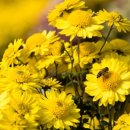 센텀빌딩 이미지