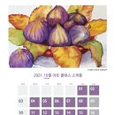 아띠스떼21