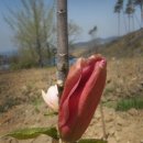 여명농장 이미지