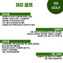 나우스크린 골프 이미지