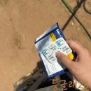 하트약국 | 야외견 실외견 심장사상충 예방 넥스가드 스펙트라, 하트가드 플러스 차이, 약국 구입 가격 비교, 후기
