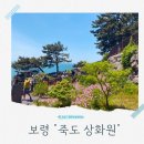 보령 죽도 상화원 아이와 함께 다녀온 힐링 꿀팁 후기
