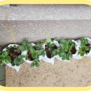 꿈이크는어린이집 이미지