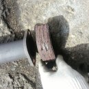 루미노스 이미지