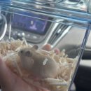 패러그린샵 동래점 이미지