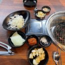 은행나무 갈매기 이미지