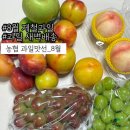 과일구독 | 농협과일맛선:: 무료 과일 새벽배송 8월 여름 제철과일 구독서비스 솔직후기!