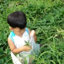 세진농장 이미지