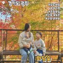 수초떡갈비 | 화담숲 아기랑 다녀온 후기 주차장,유모차,수유실 위치,지도