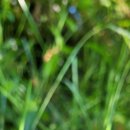 원주굽이길 원4코스 명봉산진달래길 | 안드레아의 추계 원주굽이길 원4코스 명봉산진달래길 2022-09-23