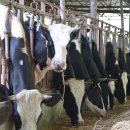 삼민목장 이미지