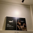 스테이벗무브