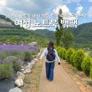 (주)동해금속 | 16인치 노트북 여성 가방 추천 백팩 르마스크 LMQ <26년 넾다세일>