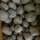 옥녀봉농장 이미지