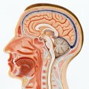 율목한의원 이미지