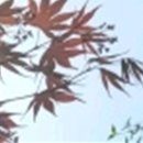 더위드치과의원 이미지