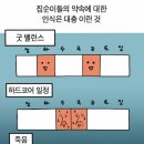 집순이