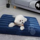쿠쿠스 이미지