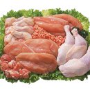 트리짐 트리태닝 이미지