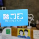 메디펫우리동물병원 네이버블로그