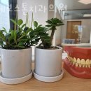 보스톤미소치과의원 이미지