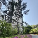 메트로정문 부동산중개사무소 | 안산메트로타운푸르지오힐스테이트 경일고맞은편정문 달.(미역)푸르지오 부동산 제공